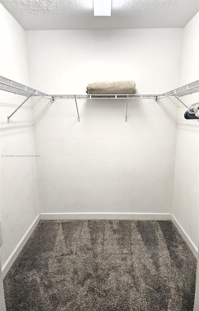 spacious closet with carpet flooring