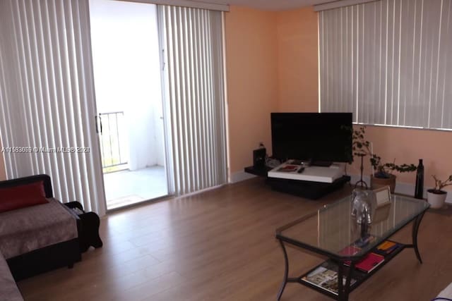 living room featuring wood-type flooring