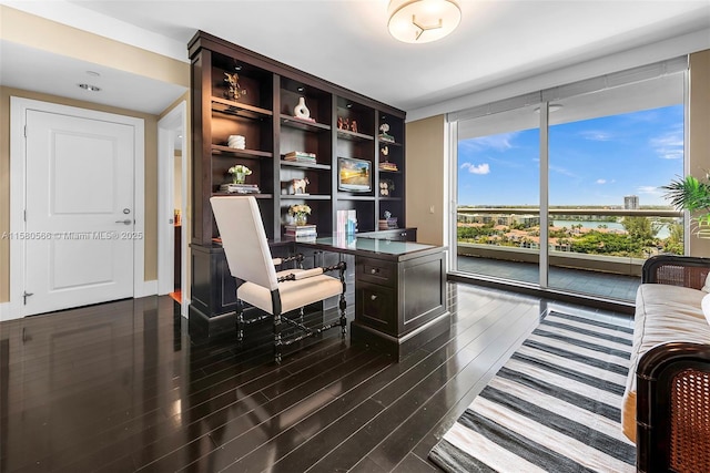 office area featuring dark wood-style floors and floor to ceiling windows