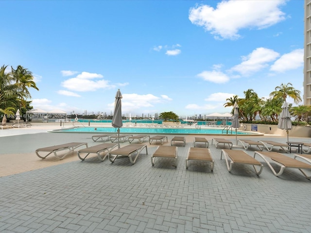 view of swimming pool with a patio