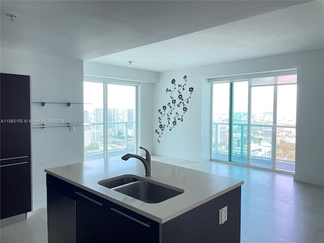 kitchen featuring a healthy amount of sunlight, sink, and an island with sink