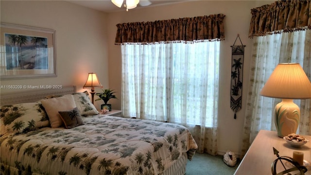 bedroom with carpet floors