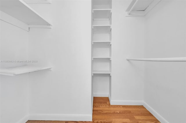 spacious closet featuring wood-type flooring