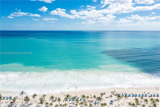 water view featuring a beach view