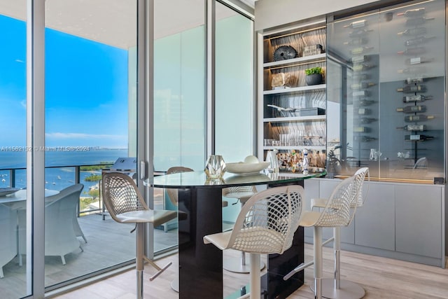 interior space featuring light hardwood / wood-style flooring, a water view, and a wall of windows