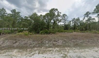 621 Grant Ave, Lehigh Acres FL, 33972 land for sale