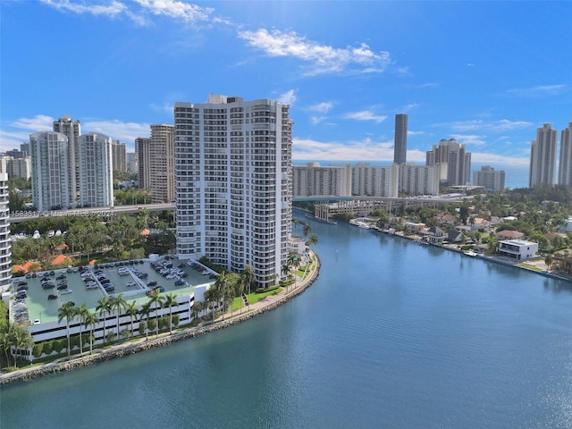 aerial view with a water view