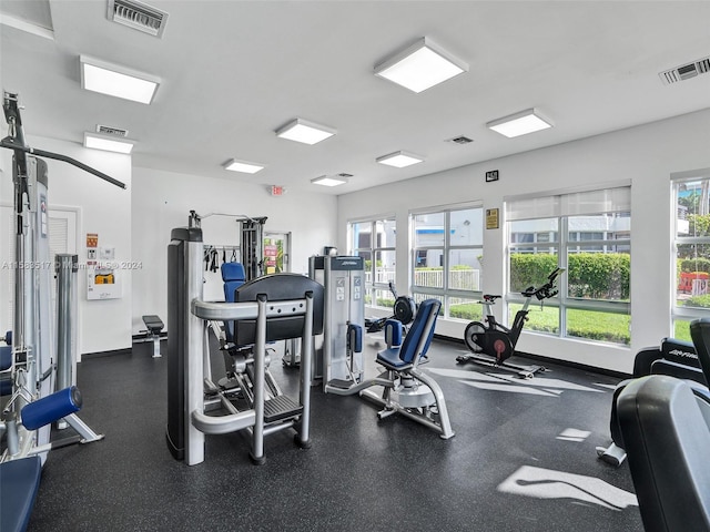 exercise room featuring a healthy amount of sunlight