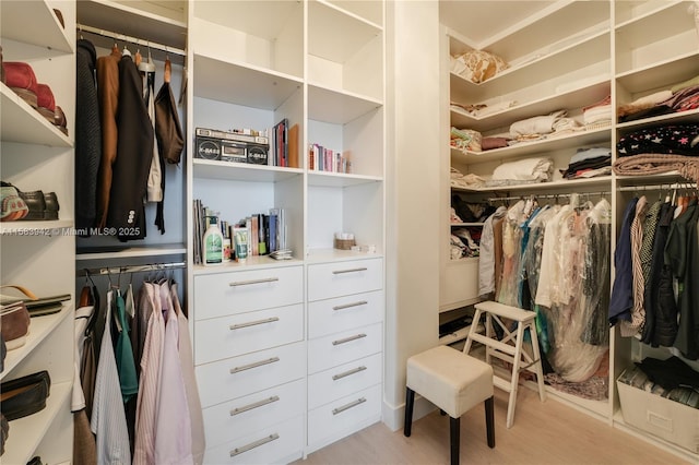 spacious closet featuring light wood-style floors