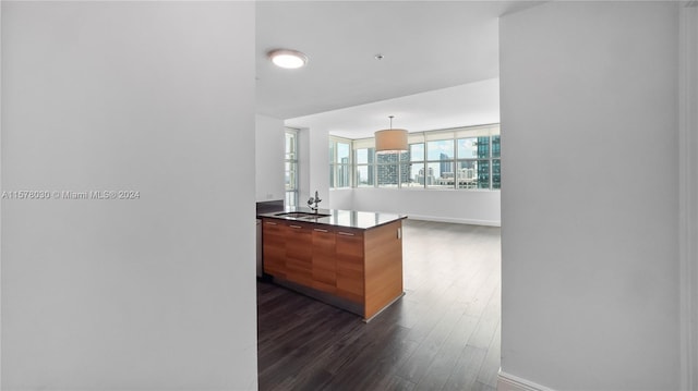 kitchen featuring hanging light fixtures, dark hardwood / wood-style floors, and sink