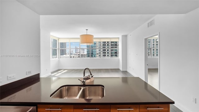 kitchen featuring a healthy amount of sunlight, wood-type flooring, decorative light fixtures, and sink