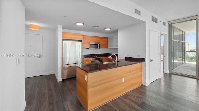 kitchen with expansive windows, dark wood-type flooring, kitchen peninsula, appliances with stainless steel finishes, and sink