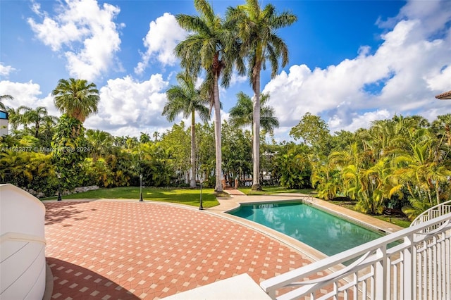 431 Costanera Rd, Coral Gables, FL 33143 - photo 25