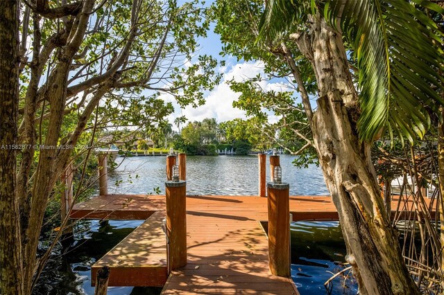 431 Costanera Rd, Coral Gables, FL 33143 - photo 30