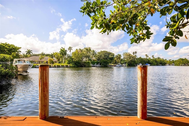 431 Costanera Rd, Coral Gables, FL 33143 - photo 31