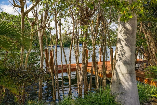 431 Costanera Rd, Coral Gables, FL 33143 - photo 33