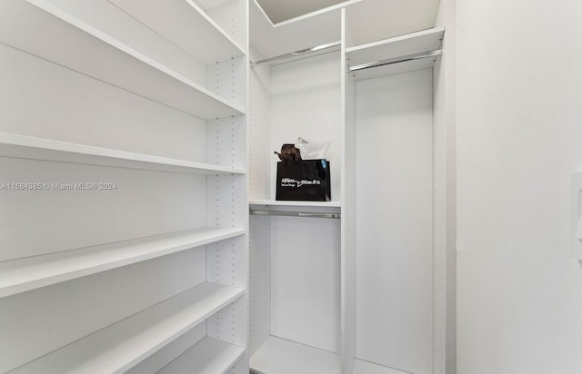 view of walk in closet