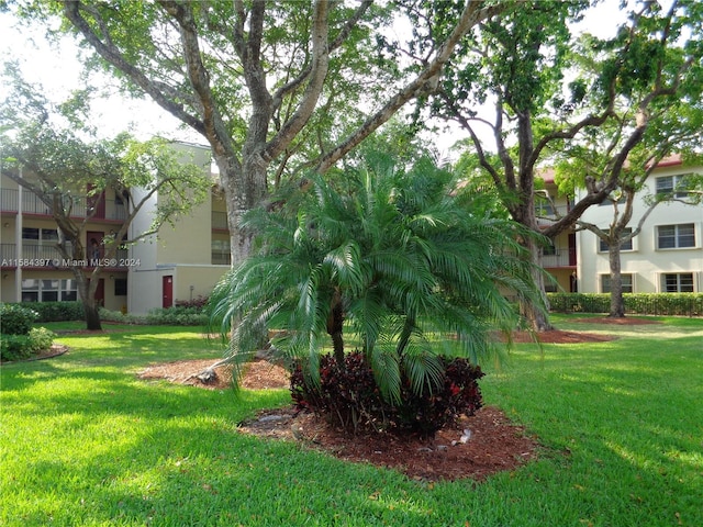 view of nearby features featuring a lawn