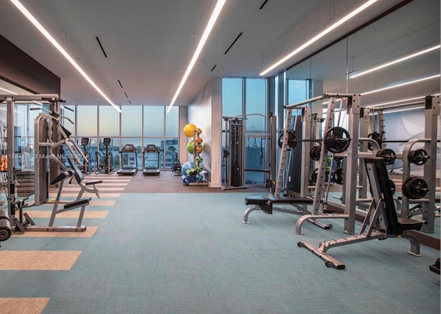 gym featuring a wall of windows and carpet floors