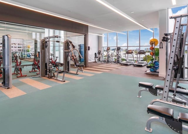 gym featuring expansive windows and carpet