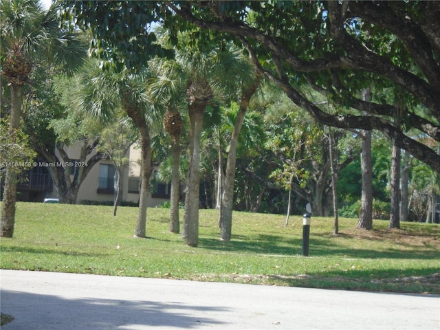 view of community featuring a yard