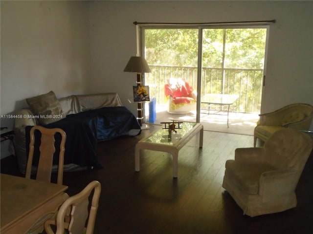 living room with hardwood / wood-style flooring