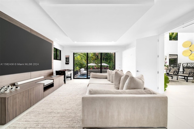 living room with a tray ceiling