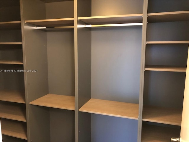 view of spacious closet