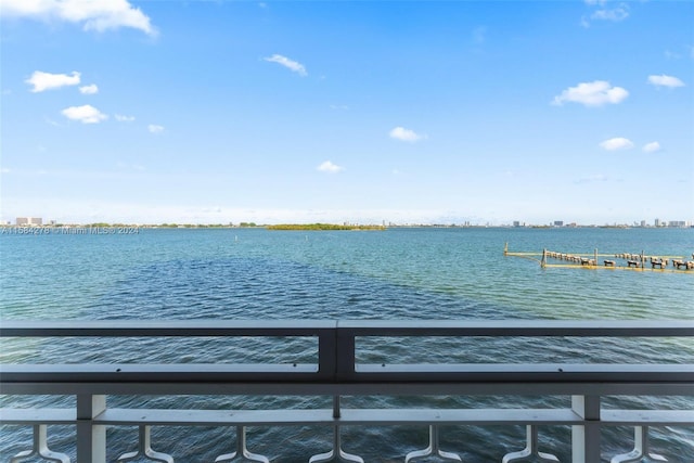 dock area with a water view