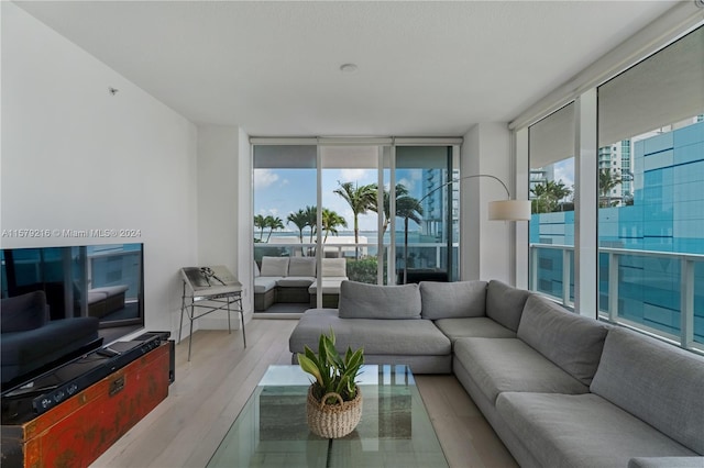 living room featuring expansive windows, light hardwood / wood-style flooring, and a wealth of natural light