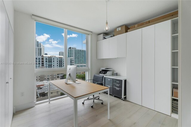 office space with light hardwood / wood-style floors and floor to ceiling windows