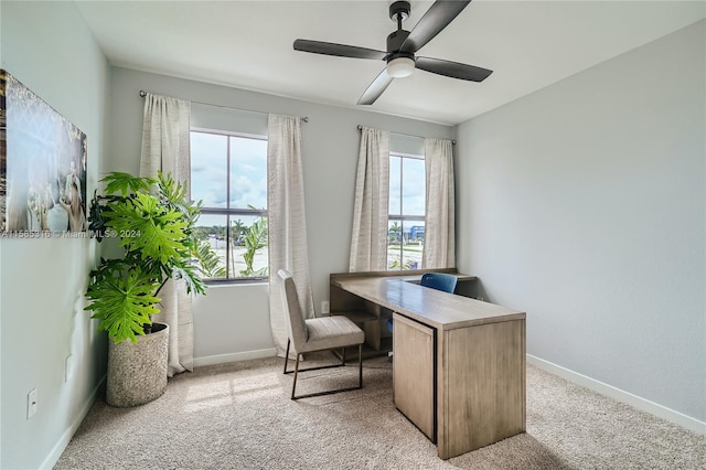 carpeted office featuring ceiling fan