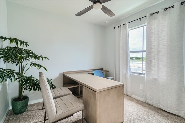 office area with ceiling fan and carpet floors