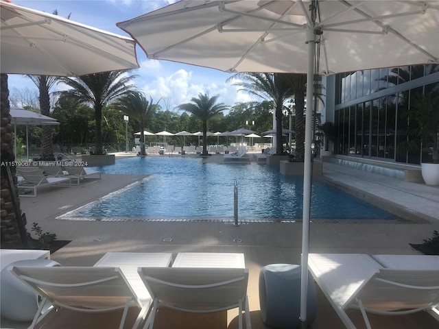 view of pool featuring a patio area