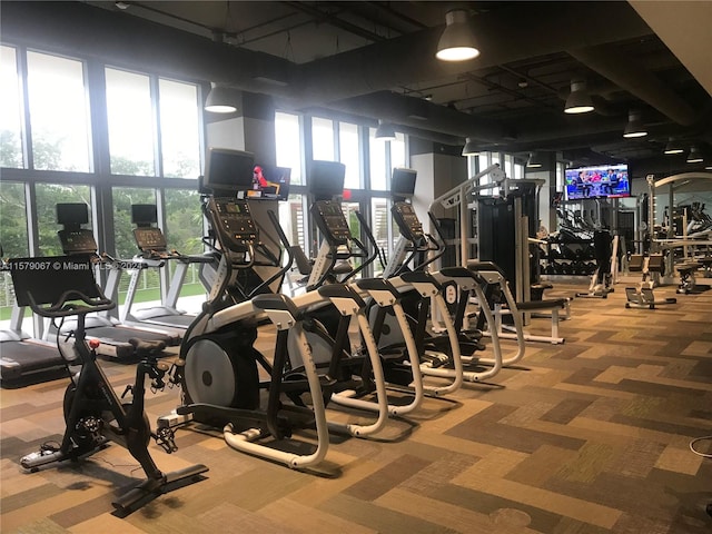 gym featuring carpet flooring