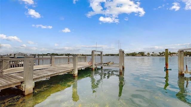 dock area with a water view