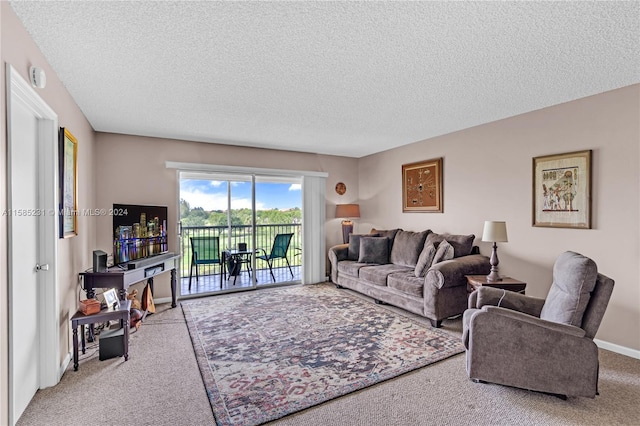 carpeted living room with a textured ceiling