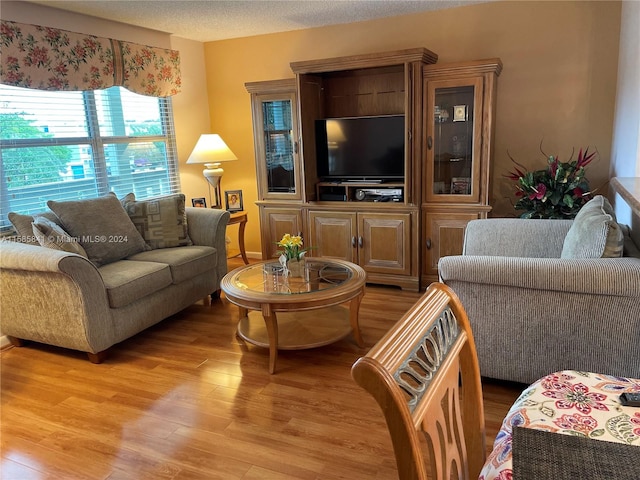 living room with wood-type flooring and a textured ceiling