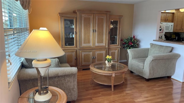 living area featuring wood-type flooring