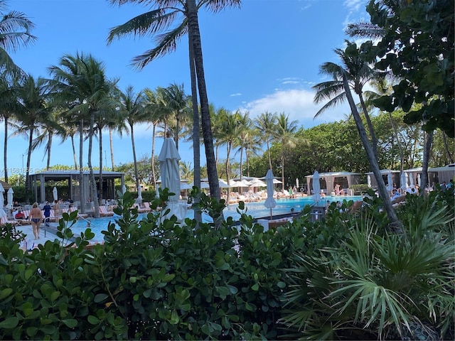 view of swimming pool