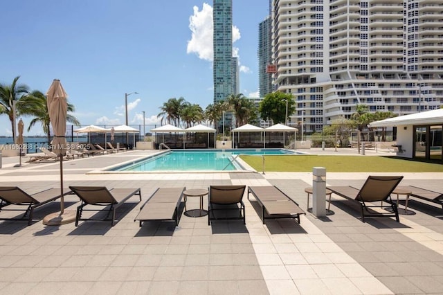 view of pool with a patio