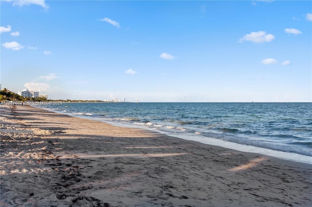 water view featuring a beach view