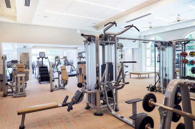 exercise room featuring hardwood / wood-style flooring, a drop ceiling, and ceiling fan