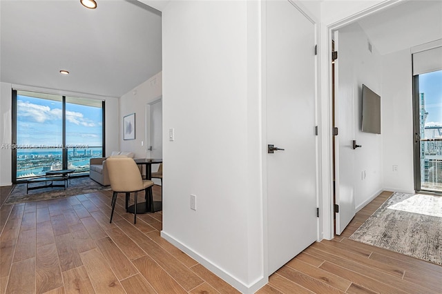 hallway featuring a healthy amount of sunlight, light hardwood / wood-style flooring, and a wall of windows