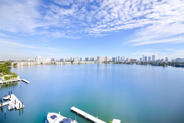 view of water feature featuring a boat dock