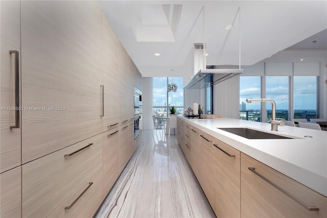 kitchen featuring a wealth of natural light, sink, expansive windows, and a skylight