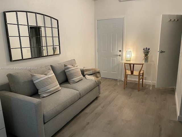 living room featuring hardwood / wood-style floors