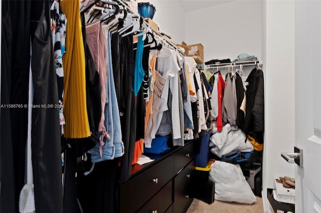 spacious closet with carpet