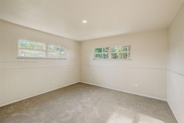 spare room featuring carpet and a wealth of natural light