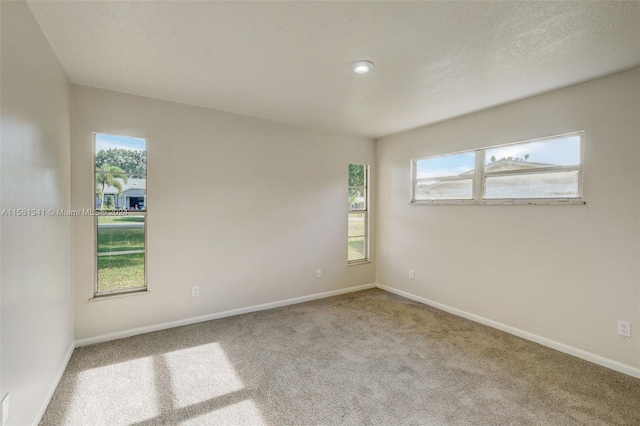 carpeted empty room with plenty of natural light and a textured ceiling